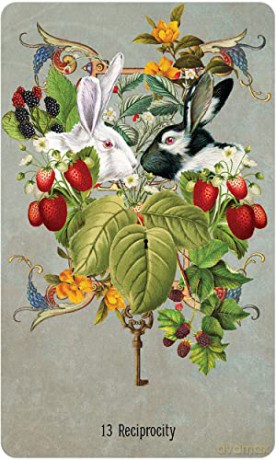 Unlocking the Secret Garden Oracle - Angi Sullins [KSIĄŻKA]