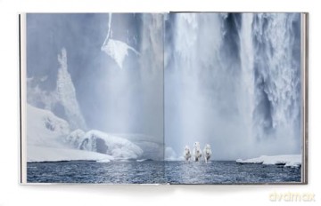 Untamed Spirits: Horses from Around the World - Drew Doggett [KSIĄŻKA]