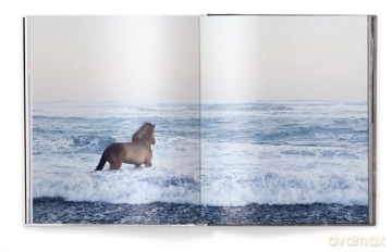 Untamed Spirits: Horses from Around the World - Drew Doggett [KSIĄŻKA]