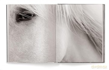 Untamed Spirits: Horses from Around the World - Drew Doggett [KSIĄŻKA]