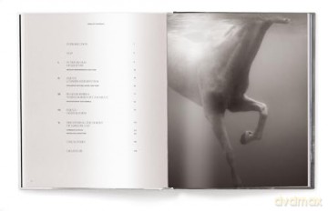 Untamed Spirits: Horses from Around the World - Drew Doggett [KSIĄŻKA]
