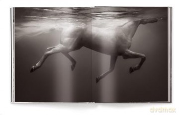 Untamed Spirits: Horses from Around the World - Drew Doggett [KSIĄŻKA]