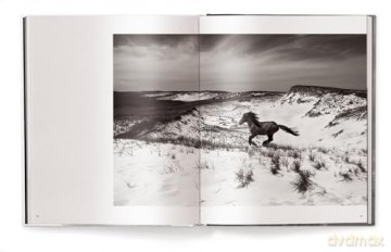 Untamed Spirits: Horses from Around the World - Drew Doggett [KSIĄŻKA]