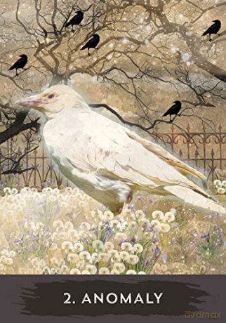 Urban Crow Oracle: A 54-Card Deck and Guidebook - MJ Cullinane [KSIĄŻKA]