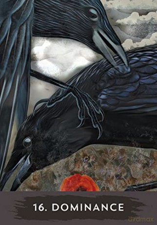 Urban Crow Oracle: A 54-Card Deck and Guidebook - MJ Cullinane [KSIĄŻKA]