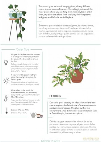 Urban Jungle: Plant Care Journal - Anna Minguet [KSIĄŻKA]
