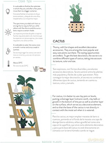 Urban Jungle: Plant Care Journal - Anna Minguet [KSIĄŻKA]