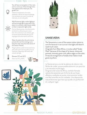 Urban Jungle: Plant Care Journal - Anna Minguet [KSIĄŻKA]