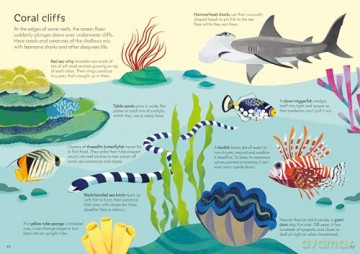 Usborne Book and Jigsaw Coral Reef - Sam Smith [KSIĄŻKA]