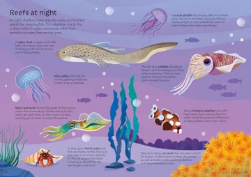 Usborne Book and Jigsaw Coral Reef - Sam Smith [KSIĄŻKA]