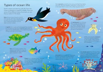 Usborne Book and Jigsaw Oceans - Sam Smith [KSIĄŻKA]