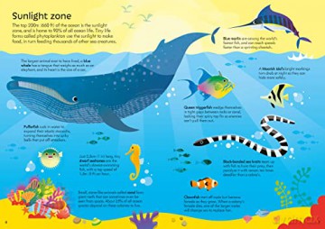 Usborne Book and Jigsaw Oceans - Sam Smith [KSIĄŻKA]