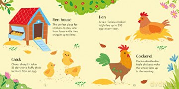 Usborne Farm Matching Games and Book - Kate Nolan [KALENDARZ]