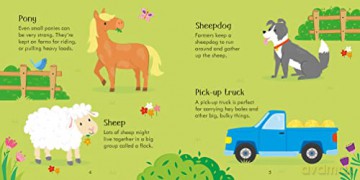 Usborne Farm Matching Games and Book - Kate Nolan [KALENDARZ]