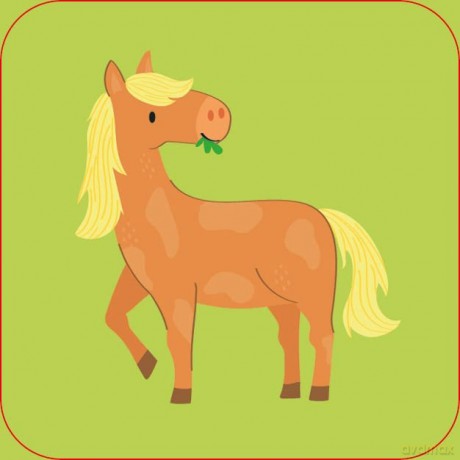 Usborne Farm Matching Games and Book - Kate Nolan [KALENDARZ]