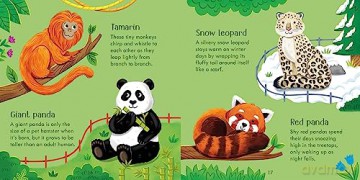 Usborne Publishing Ltd Zoo Matching Games and Book - Usborne [KSIĄŻKA]