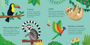 Usborne Publishing Ltd Zoo Matching Games and Book - Usborne [KSIĄŻKA]