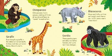 Usborne Publishing Ltd Zoo Matching Games and Book - Usborne [KSIĄŻKA]