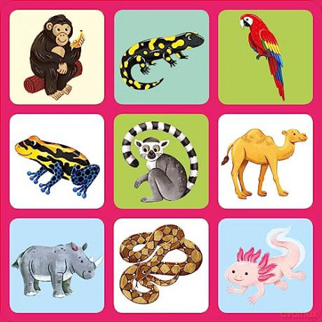 Usborne Publishing Ltd Zoo Matching Games and Book - Usborne [KSIĄŻKA]