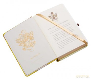 Van Gogh Memory Journal: Reflect, Record, Remember: A Three-Year Daily Memory Journal - Insights [KSIĄŻKA]
