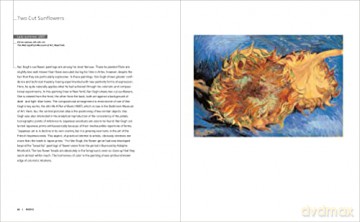 Van Gogh: Masters of Art - Anna Paola Rapelli [KSIĄŻKA]
