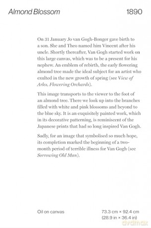 Vincent van Gogh: 50 Masterpieces Explored (The Masters Art Decks) - Sally Grant [KSIĄŻKA]