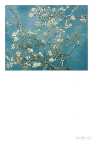 Vincent van Gogh: 50 Masterpieces Explored (The Masters Art Decks) - Sally Grant [KSIĄŻKA]