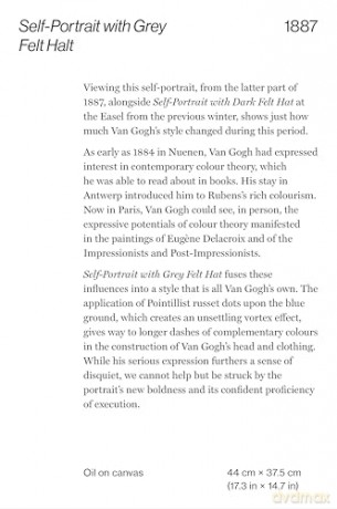 Vincent van Gogh: 50 Masterpieces Explored (The Masters Art Decks) - Sally Grant [KSIĄŻKA]