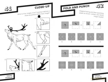 Visual Puzzles - Gareth Moore [KSIĄŻKA]