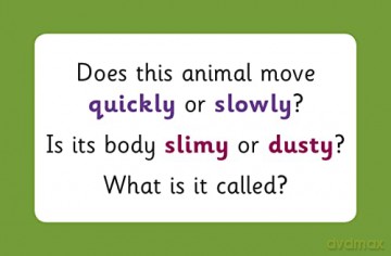Vocabulary Flashcards for Ages 3-5 (CGP Reception Activity Books and Cards) - CGP Books [KSIĄŻKA]
