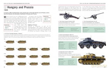 Waffen-SS Divisions 1939-45: The Essential Identification Guide - Chris Bishop [KSIĄŻKA]