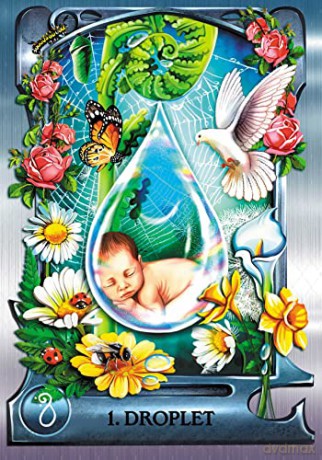 Water Alchemy Oracle: A 40-Card Deck and Guidebook - Alexandra Wenman [KSIĄŻKA]