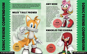 We Love Sonic!: The ultimate guide to the world's fastest hedgehog [KSIĄŻKA]