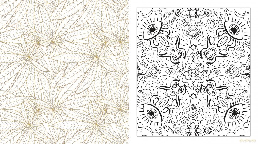 Weed Coloring Book: Pages to Color When You're High (Chartwell Coloring Books) - Editors of Chartwell Books [KSIĄŻKA]