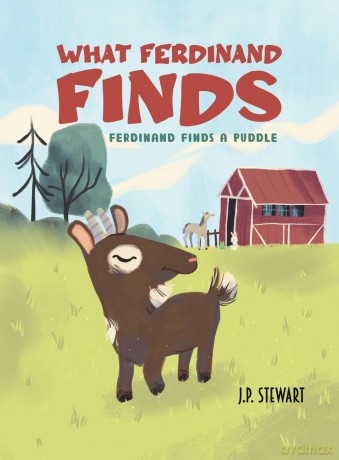 What Ferdinand Finds - J.P. Stewart [KSIĄŻKA]