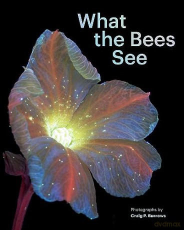 What the Bees See: A Honeybee's Eye View of the World - Burrows [KSIĄŻKA]