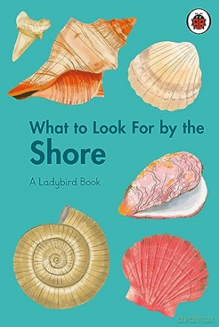 What to Look For by the Shore (A Ladybird Book) - Becky Brown [KSIĄŻKA]