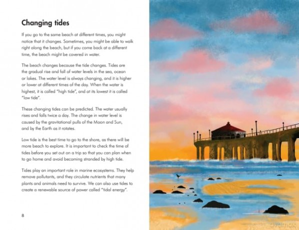 What to Look For by the Shore (A Ladybird Book) - Becky Brown [KSIĄŻKA]