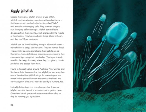 What to Look For by the Shore (A Ladybird Book) - Becky Brown [KSIĄŻKA]