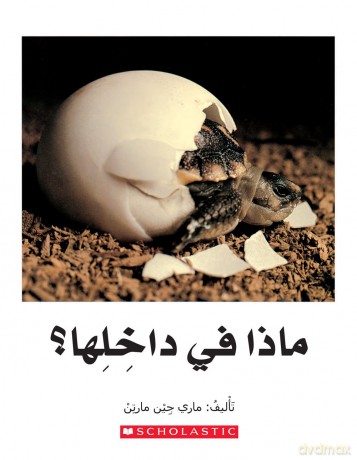 Whats Inside (My Arabic Library) - Conrad Chavez [KSIĄŻKA]