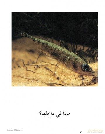 Whats Inside (My Arabic Library) - Conrad Chavez [KSIĄŻKA]