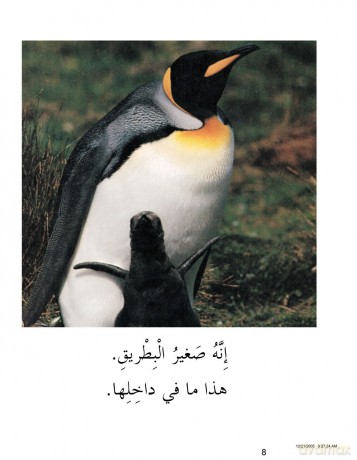 Whats Inside (My Arabic Library) - Conrad Chavez [KSIĄŻKA]