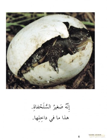 Whats Inside (My Arabic Library) - Conrad Chavez [KSIĄŻKA]