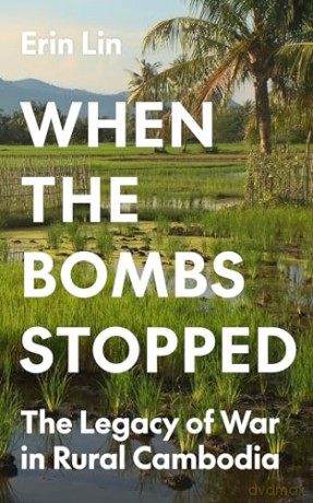When the Bombs Stopped: The Legacy of War in Rural Cambodia: 203 (Princeton Studies in International History and Politics, 203) - Erin Lin [KSIĄŻKA]