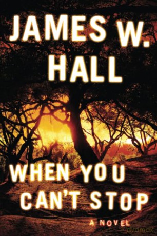 When You Can't Stop: 2 (Harper McDaniel, 2) - James W. Hall [KSIĄŻKA]