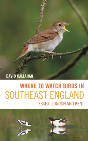 Where to Watch Birds in Southeast England: Essex, London and Kent - David Callahan [KSIĄŻKA]