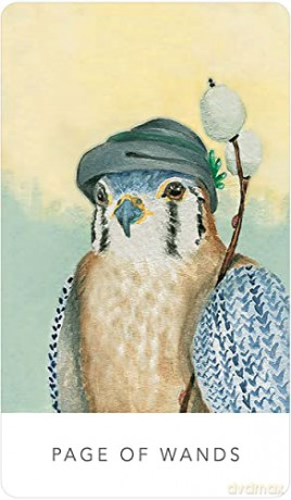 White Sage Tarot - Theresa Hutch [KSIĄŻKA]