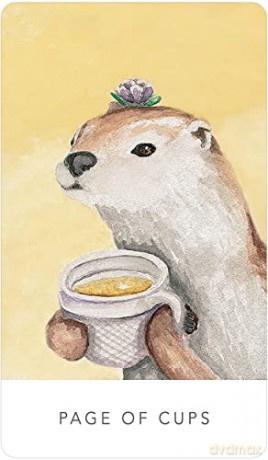 White Sage Tarot - Theresa Hutch [KSIĄŻKA]