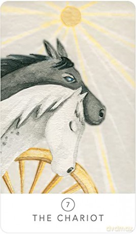 White Sage Tarot - Theresa Hutch [KSIĄŻKA]
