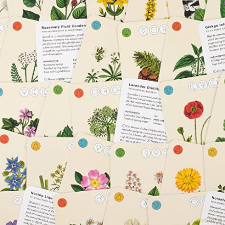 Wild Alchemy Lab: An Astro-botanical Remedy Deck - Jemma Foster [KSIĄŻKA]